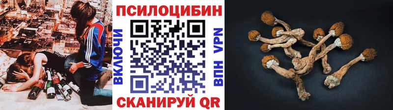 Галлюциногенные грибы мицелий  Кострома 
