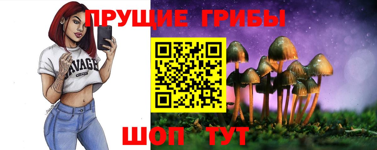 Галлюциногенные грибы GOLDEN TEACHER  Галлюциногенные грибы Psilocybine cubensis  Кострома  Вход с VPN 